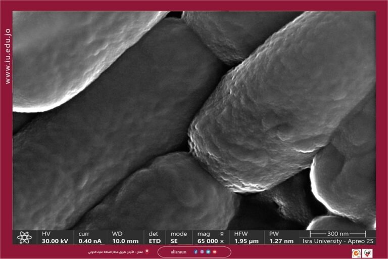 اكتشاف علمي مميز في جامعة الإسراء