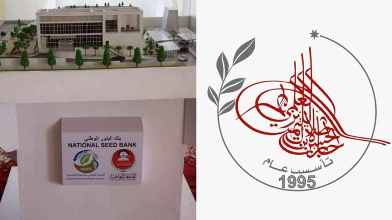 الجامعة الهاشمية في المركز الأول بجائزة الحسن بن طلال للتميّز العلمي 2024 عن مشروع “بنك البذور الوطني”